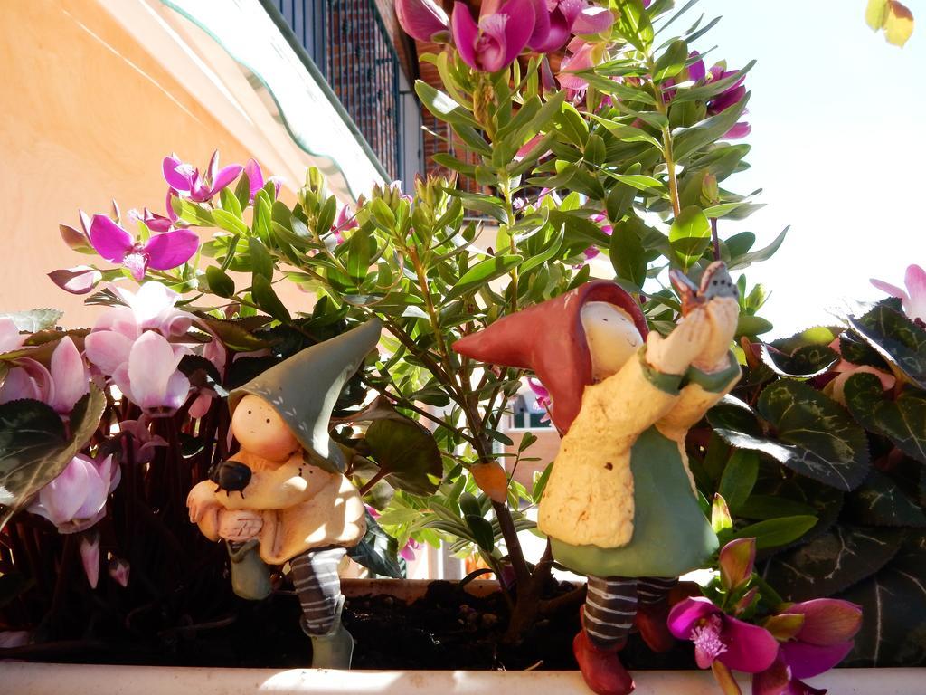 Bed&Breakfast La Siepe ピネローロ エクステリア 写真